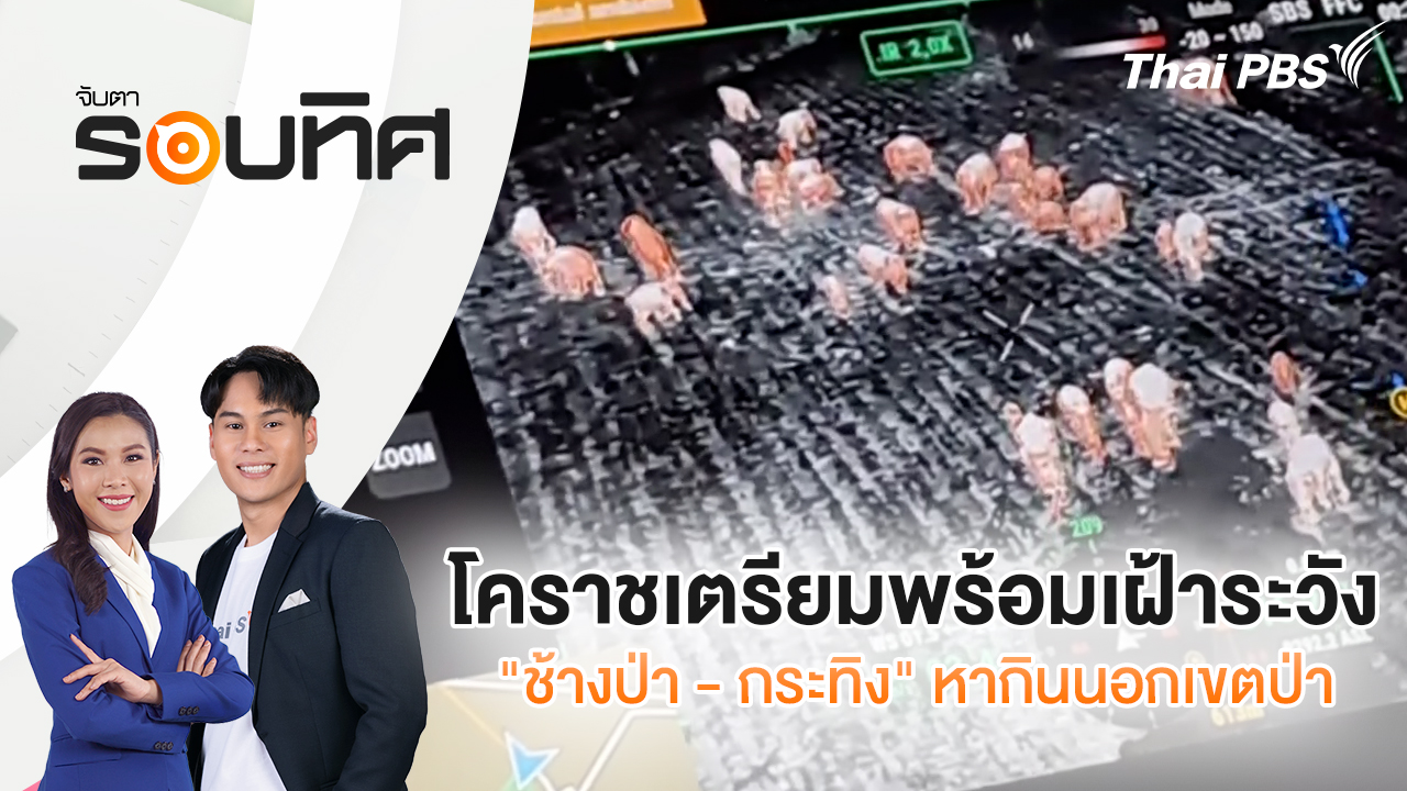 โคราชเตรียมพร้อมเฝ้าระวัง "ช้างป่า - กระทิง" หากินนอกเขตป่า