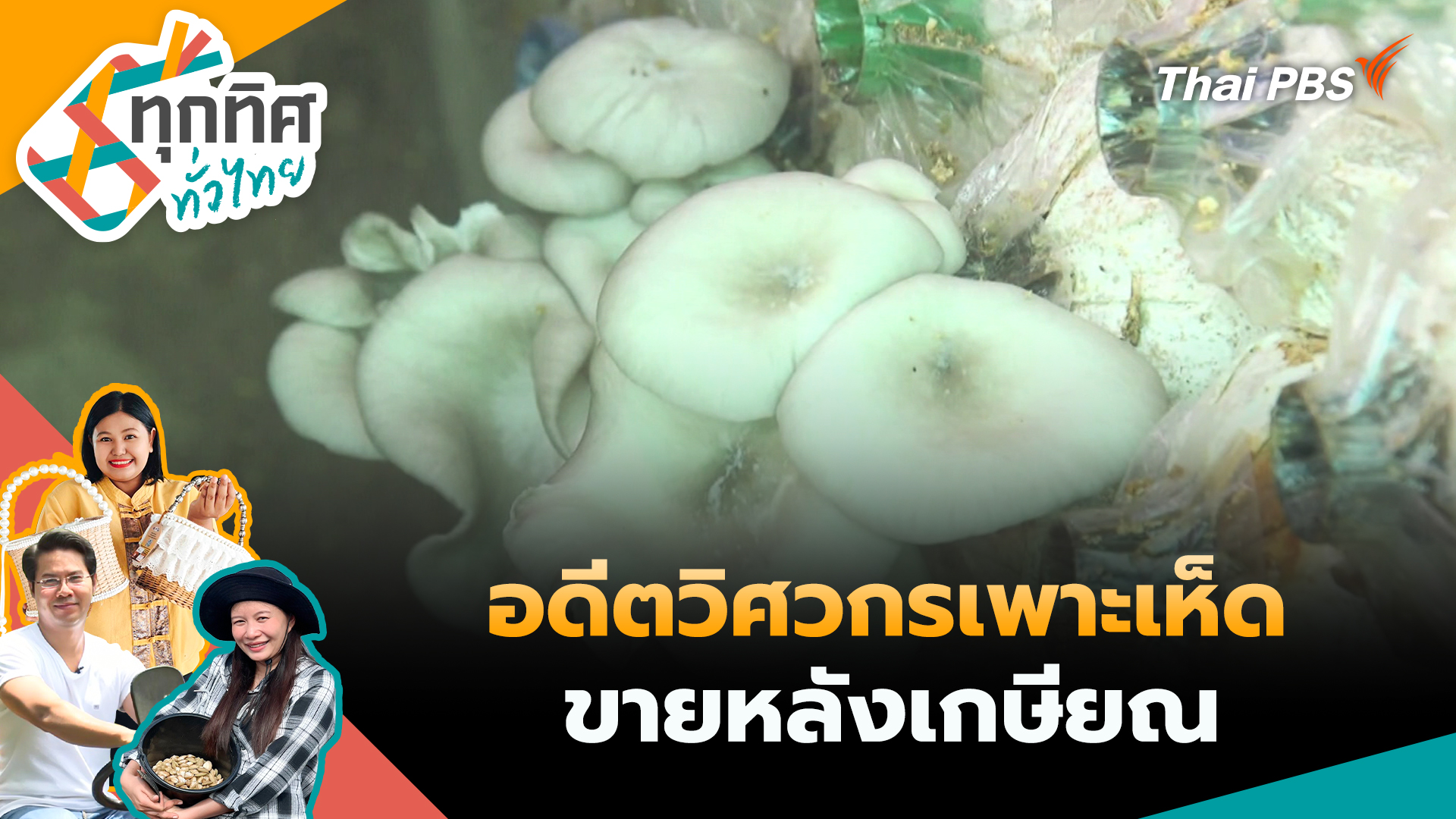 อดีตวิศวกรเพาะเห็ดขายหลังเกษียณ