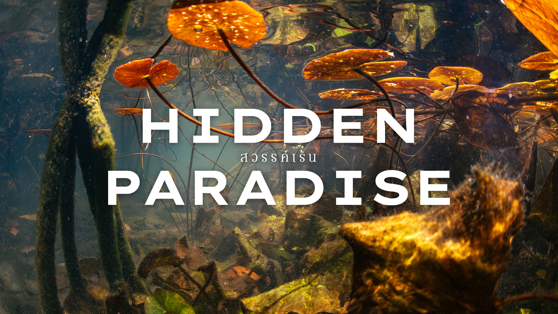 Hidden Paradise สวรรค์เร้น