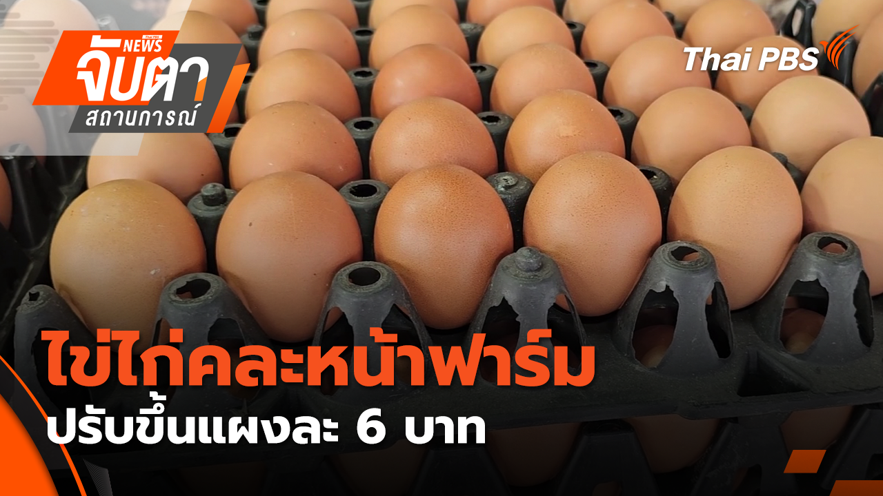 ไข่ไก่คละหน้าฟาร์มปรับขึ้นแผงละ 6 บาท