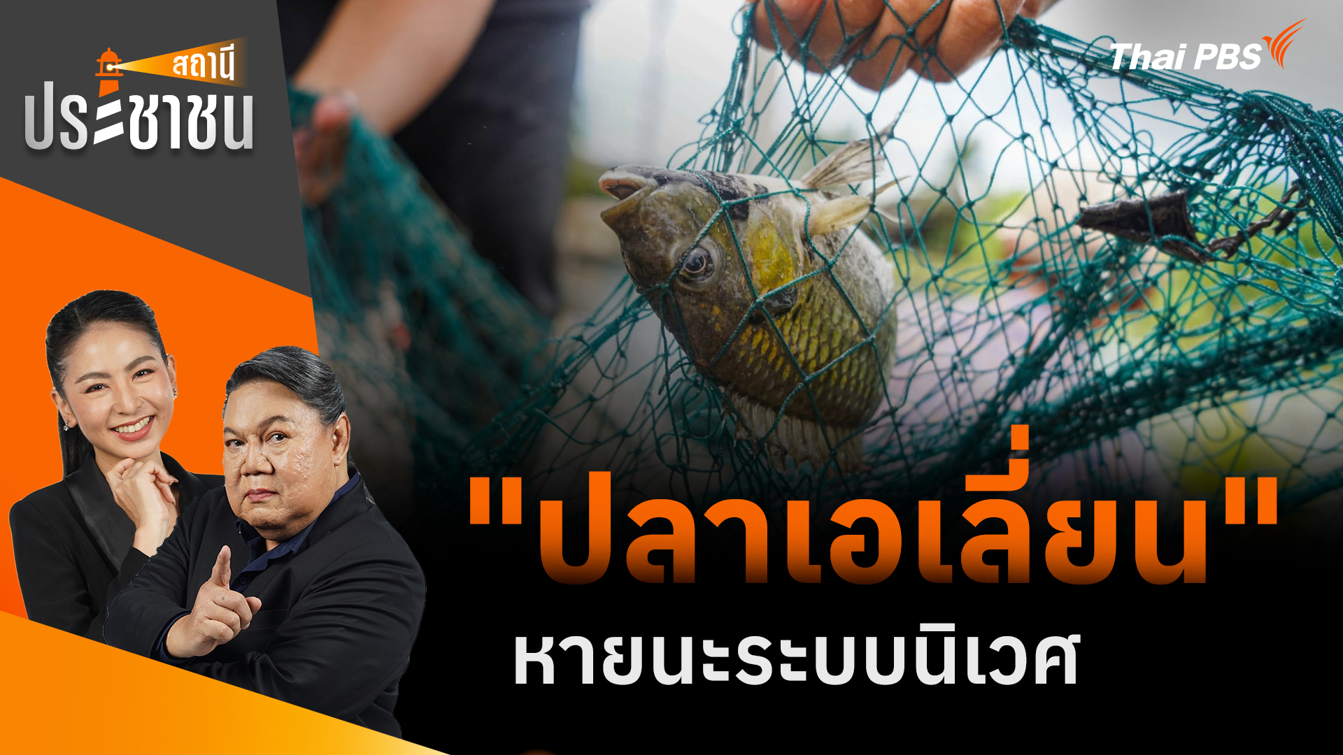 "ปลาเอเลี่ยน" หายนะระบบนิเวศ