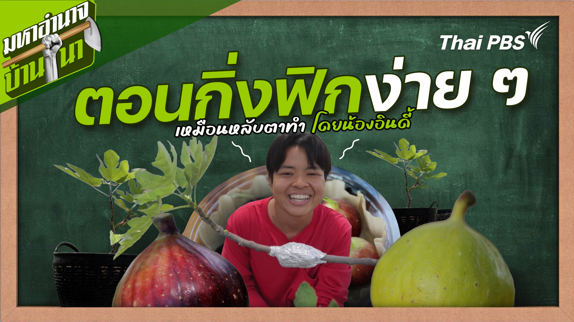 สูตรลับฉบับบ้านนา : ตอนกิ่งฟิกง่าย ๆ เหมือนหลับตาทำ โดยน้องอินดี้