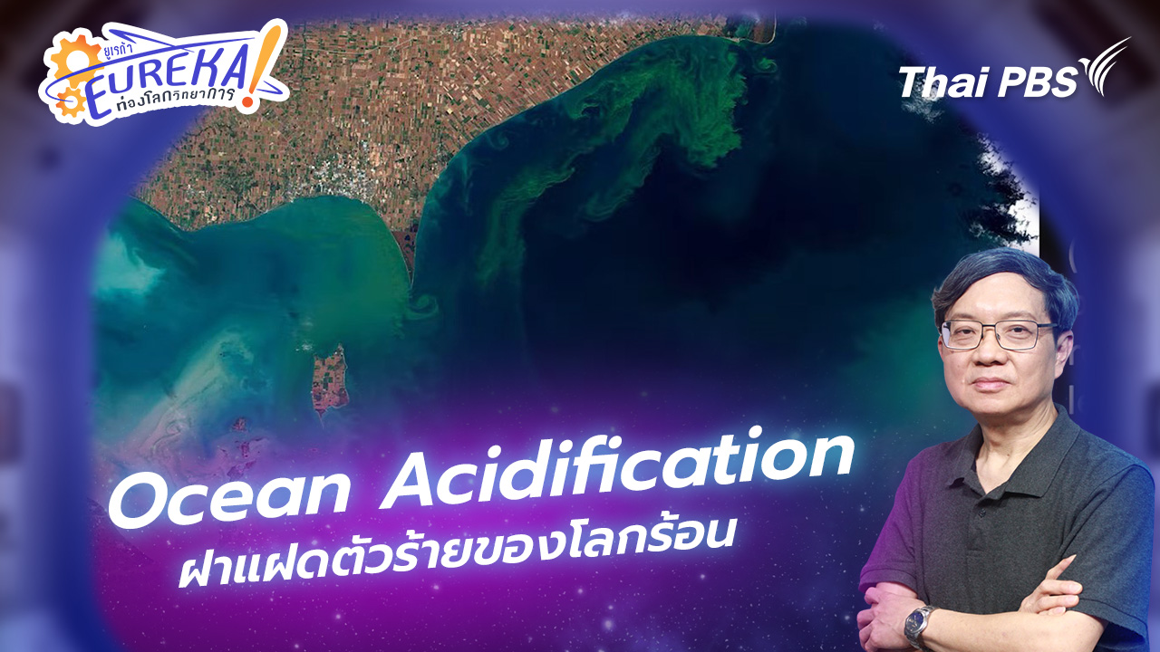 Ocean Acidification ฝาแฝดตัวร้ายของโลกร้อน
