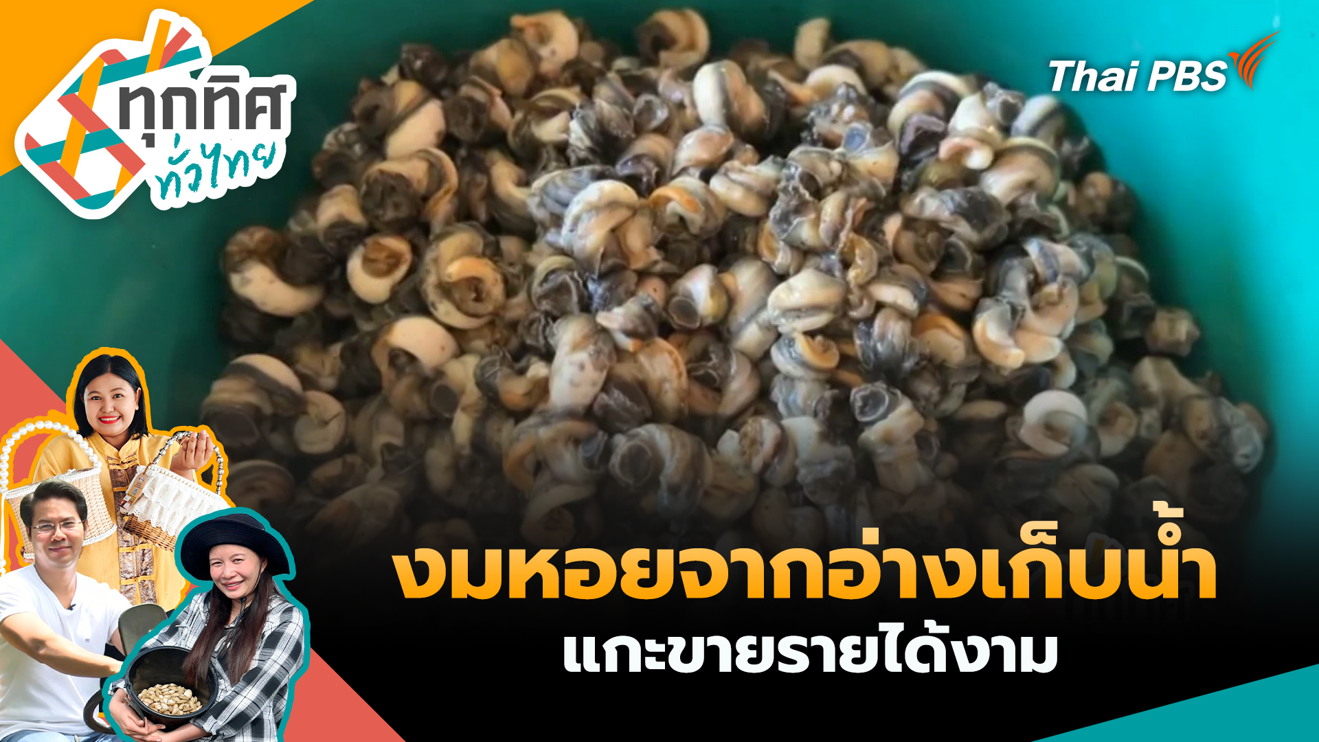 งมหอยจากอ่างเก็บน้ำแกะขายรายได้งาม
