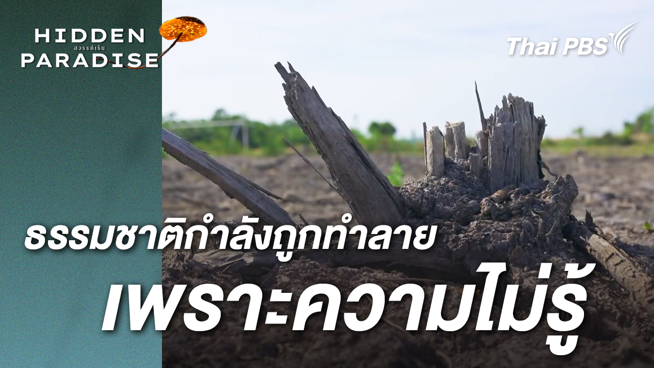ธรรมชาติที่สมบูรณ์ กำลังถูกทำลายโดยความไม่รู้