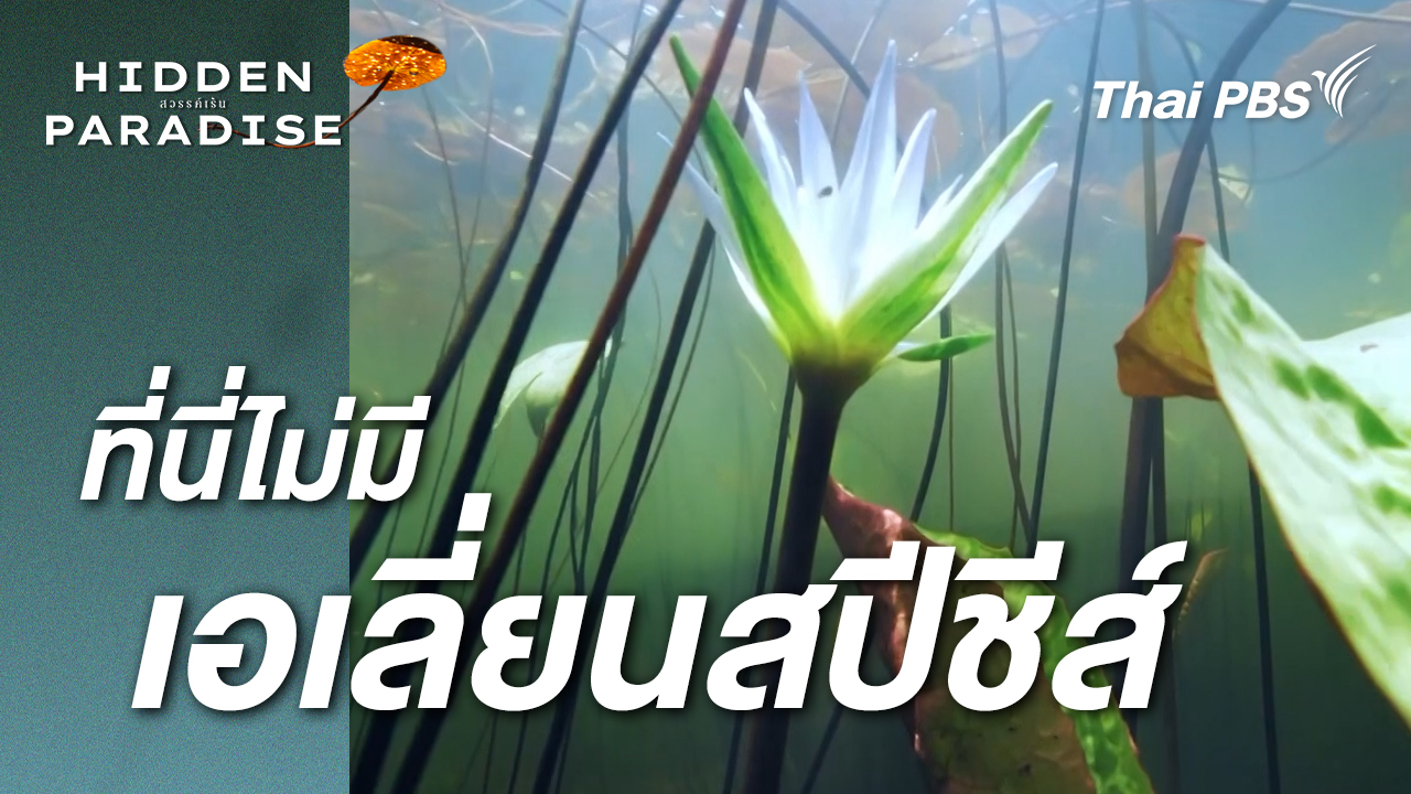 ที่นี่ ไม่มีเอเลี่ยนสปีชีส์ | Hidden Paradise