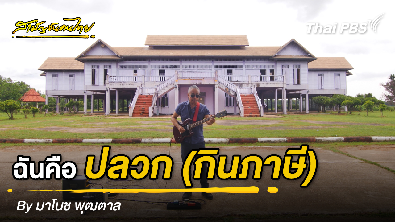 เพลง ฉันคือปลวก (กินภาษี) by มาโนช พุฒตาล