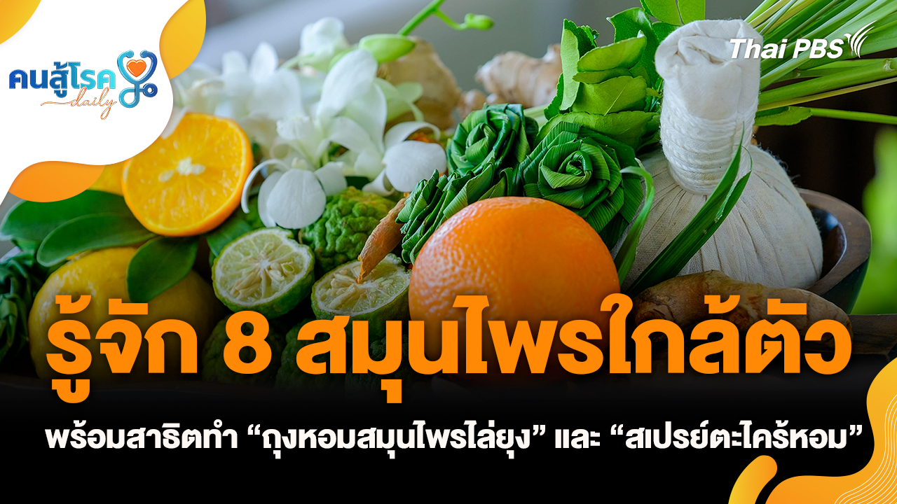 รู้จัก 8 สมุนไพรใกล้ตัว