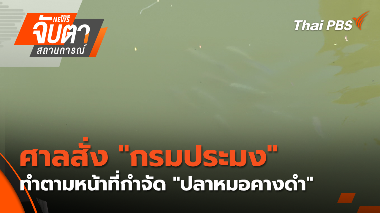 ศาลสั่ง "กรมประมง" ทำตามหน้าที่กำจัด "ปลาหมอคางดำ"