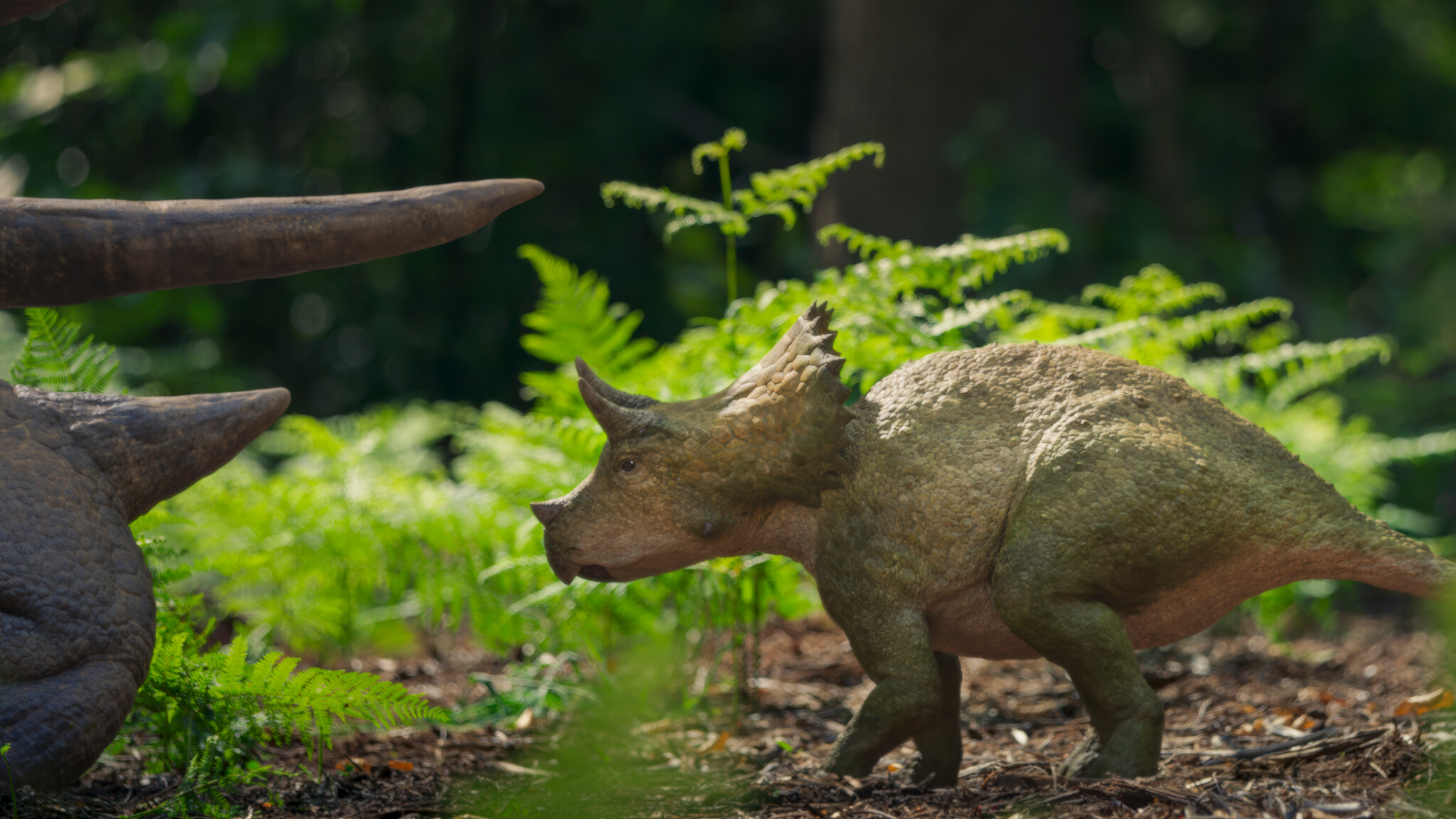Walking_With_Dinosaurs_EP_01_006.jpg