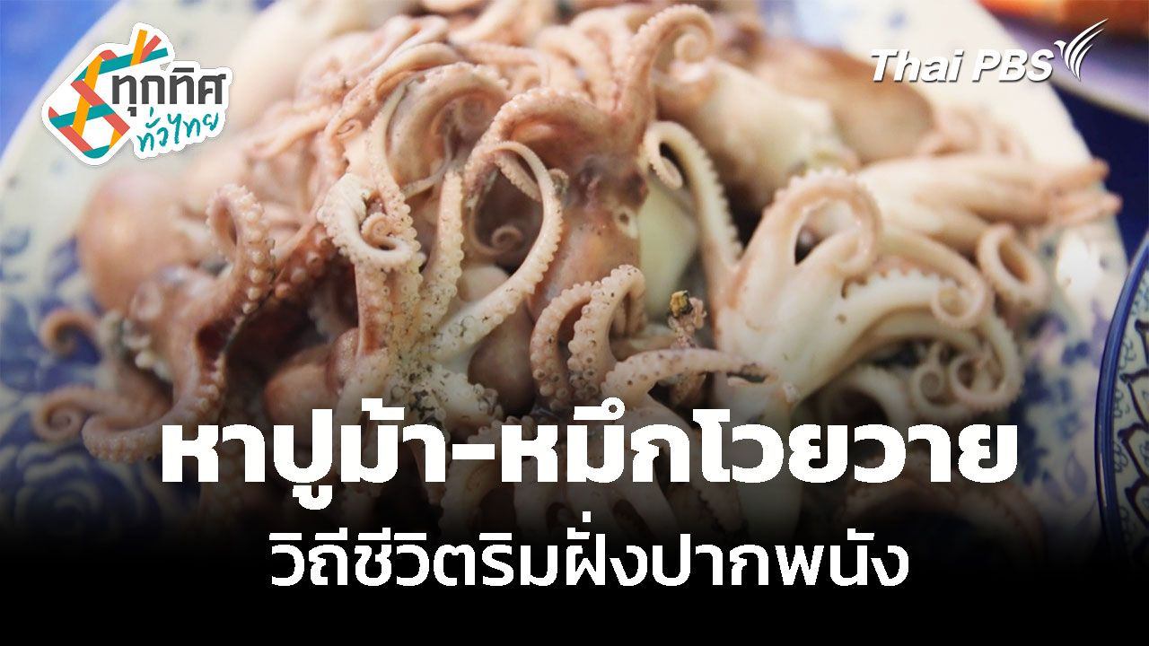 ลุยหาปูม้า-หมึกโวยวาย วิถีชีวิตริมฝั่งปากพนัง