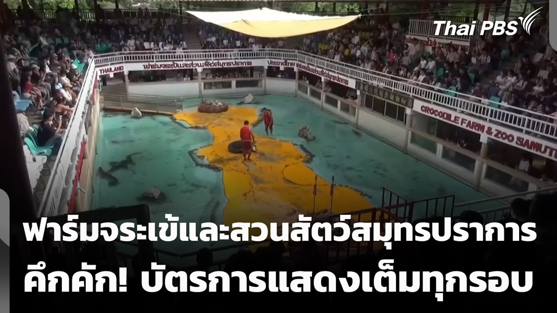 ฟาร์มจระเข้และสวนสัตว์สมุทรปราการ คึกคัก! บัตรการแสดงเต็มทุกรอบ