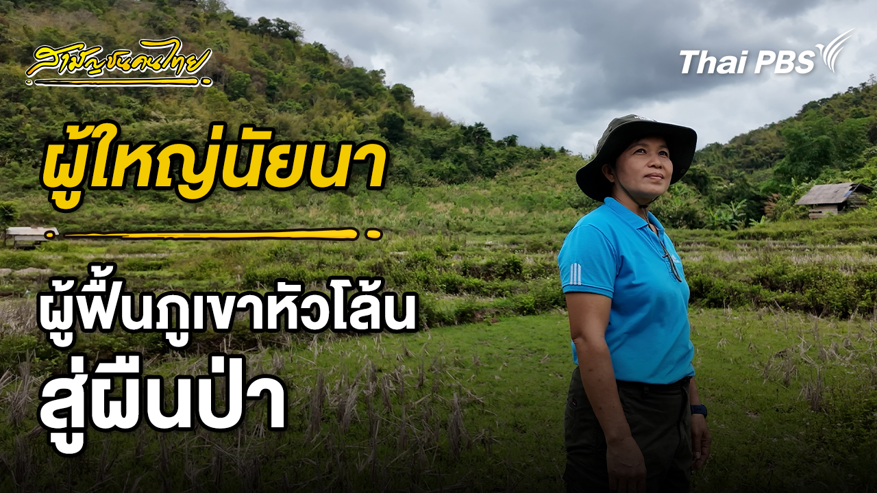 ผู้ใหญ่นัยนา: ผู้พลิกฟื้นภูเขาหัวโล้นให้กลับเป็นผืนป่า | สามัญชนคนไทย