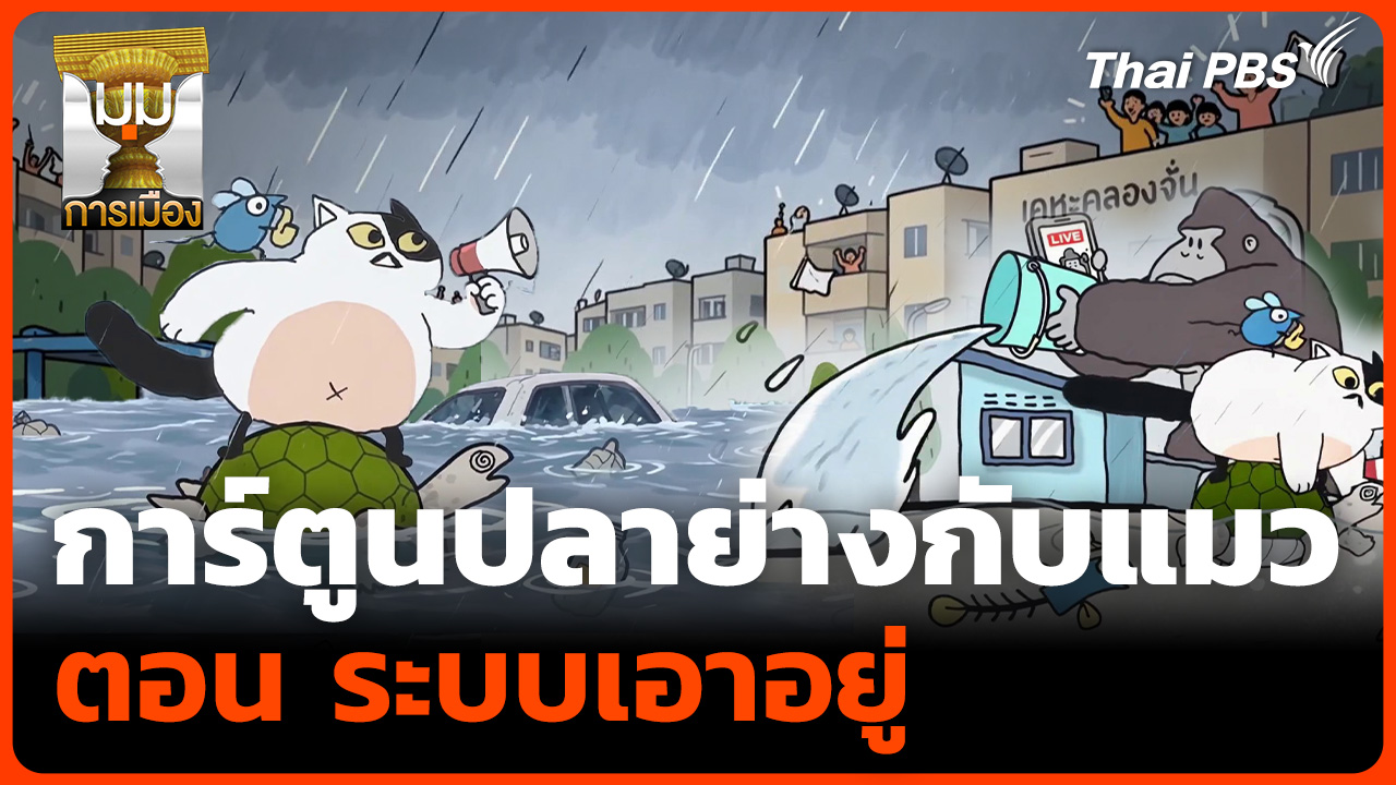การ์ตูนปลาย่างกับแมว ตอน ระบบเอาอยู่