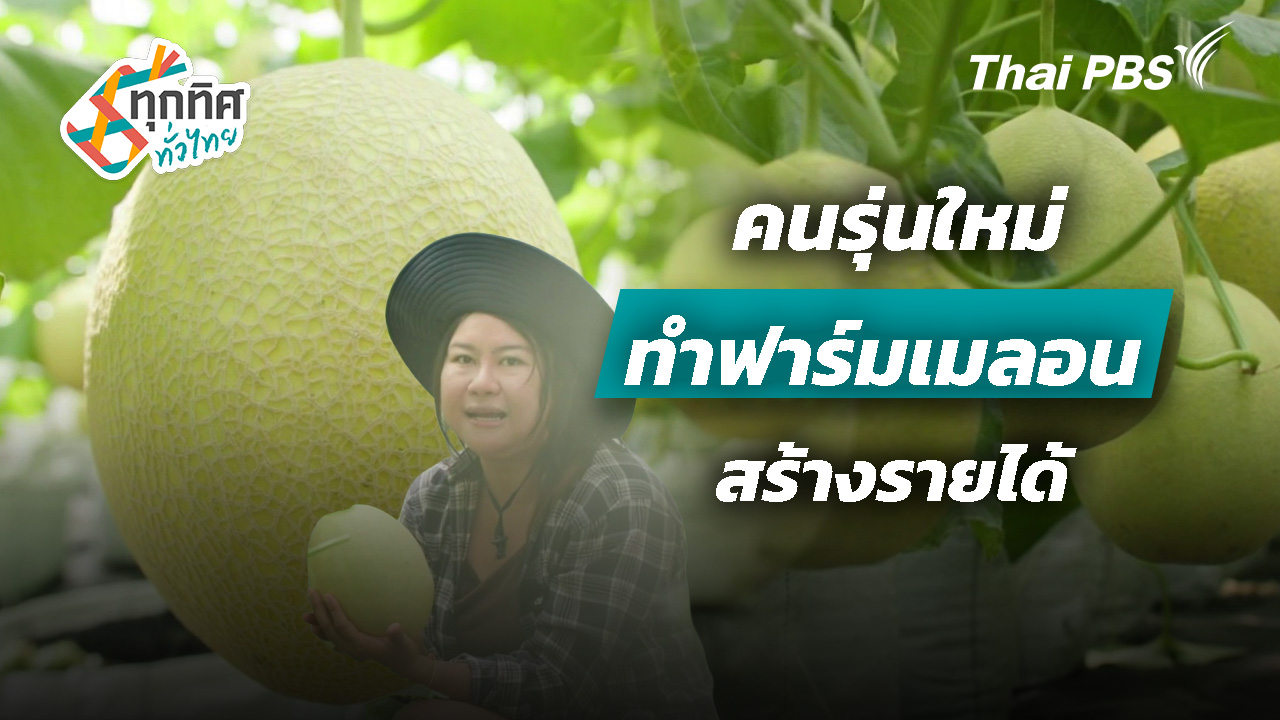 คนรุ่นใหม่ทำฟาร์มเมลอนสร้างรายได้