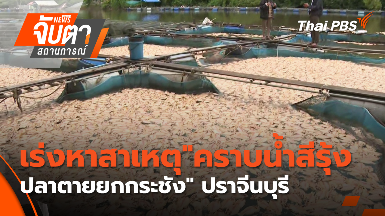 เร่งหาสาเหตุ"คราบน้ำสีรุ้ง-ปลาตายยกกระชัง" ปราจีนบุรี
