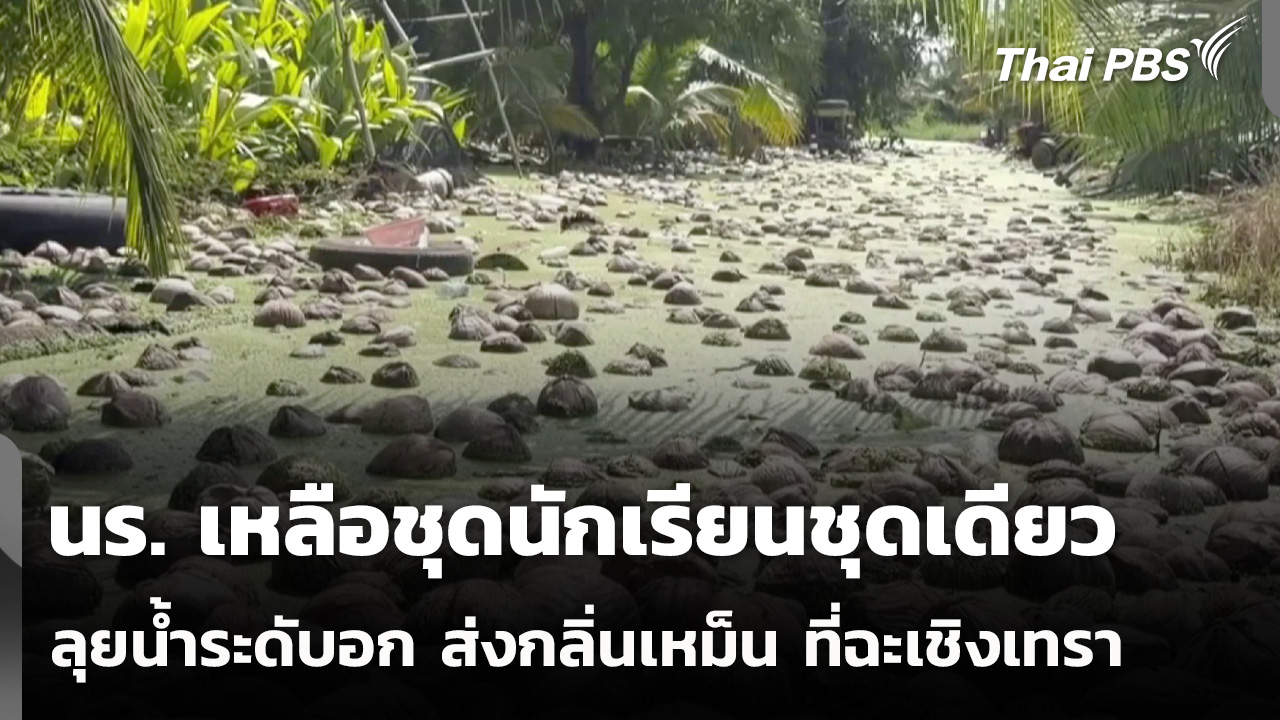 นร. เหลือชุดนักเรียนชุดเดียวลุยน้ำระดับอก ส่งกลิ่นเหม็น ที่ฉะเชิงเทรา ชั่วโมงข่าว เสาร์-อาทิตย์ 17 ต.ค. 69