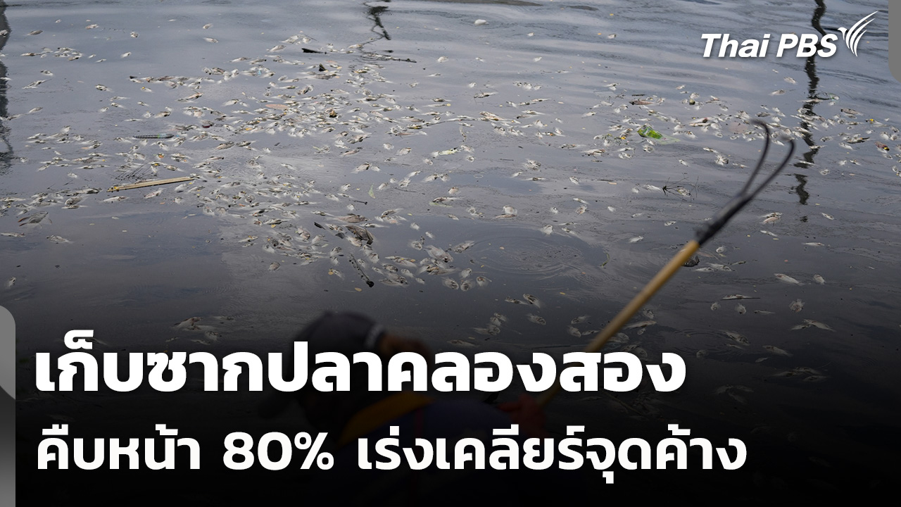 เก็บซากปลาคลองสองคืบหน้า 80 เร่งเคลียร์จุดค้าง