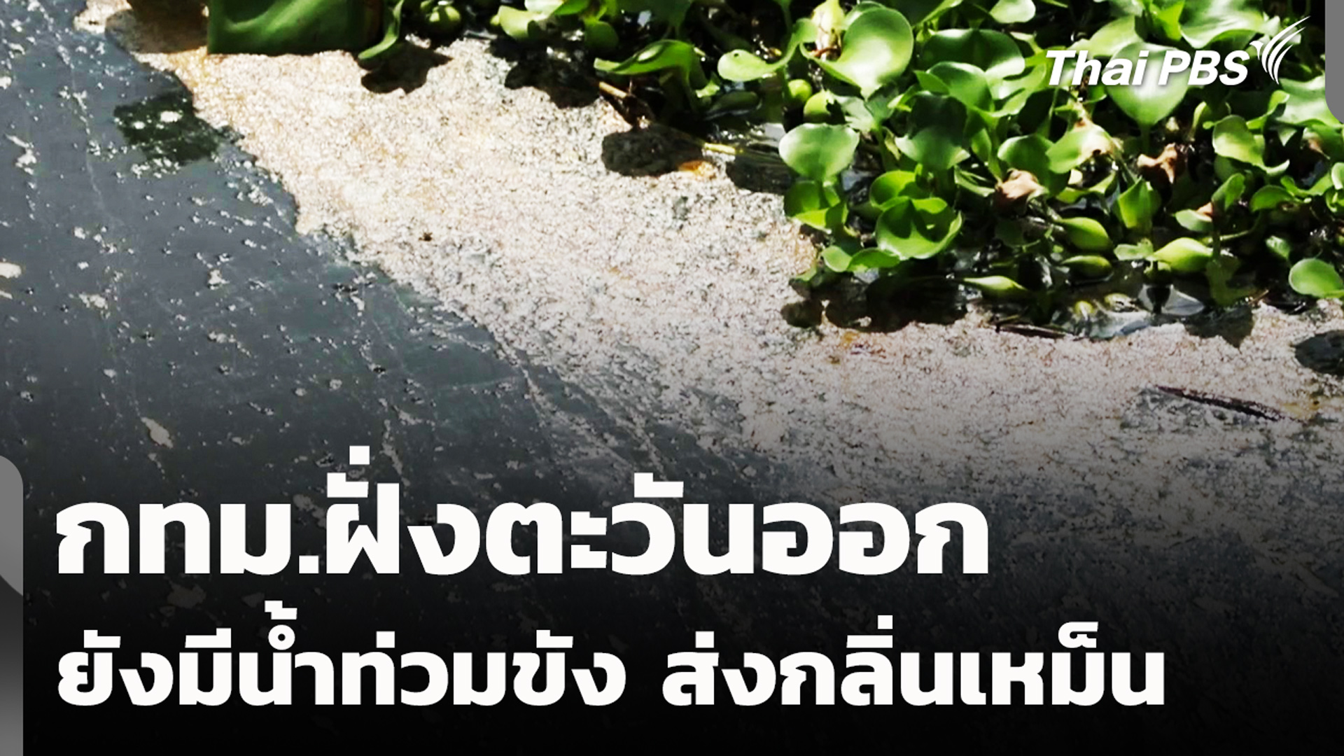 กทม.ฝั่งตะวันออก ยังมีน้ำท่วมขัง ส่งกลิ่นเหม็น