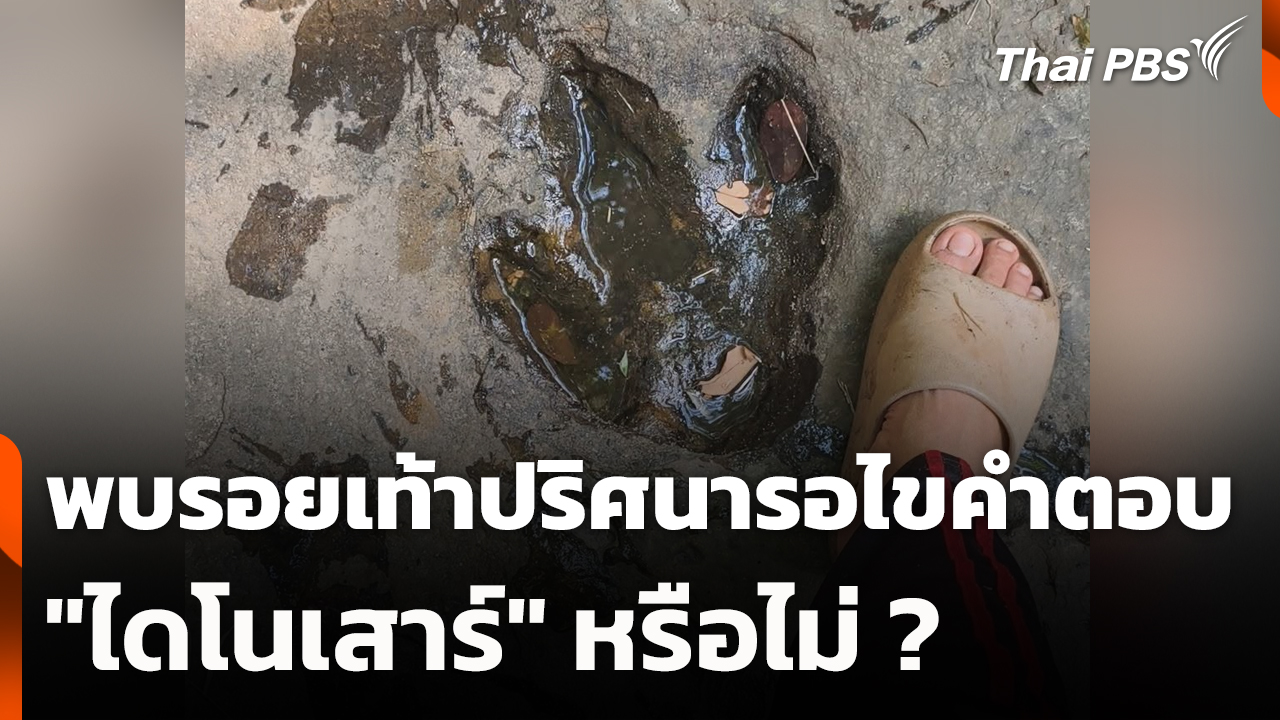 พบรอยเท้าปริศนารอไขคำตอบ "ไดโนเสาร์" หรือไม่ ?