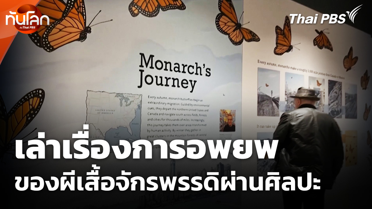 เล่าเรื่องการอพยพของผีเสื้อจักรพรรดิผ่านศิลปะ