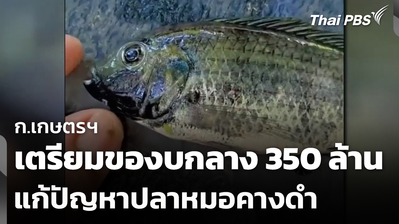 ก.เกษตรฯ เตรียมของบกลาง 350 ล้าน แก้ปัญหาปลาหมอคางดำ