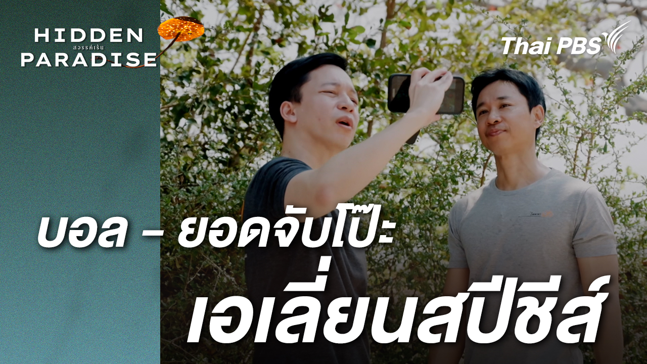 บอลยอดจับโป๊ะ เอเลี่ยนสปีชีส์ | Hidden paradise สวรรค์เร้น