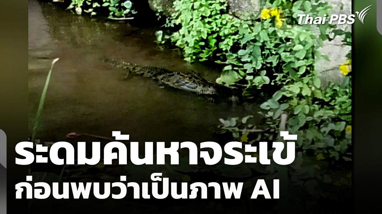 ระดมค้นหาจระเข้ ก่อนพบว่าเป็นภาพ AI