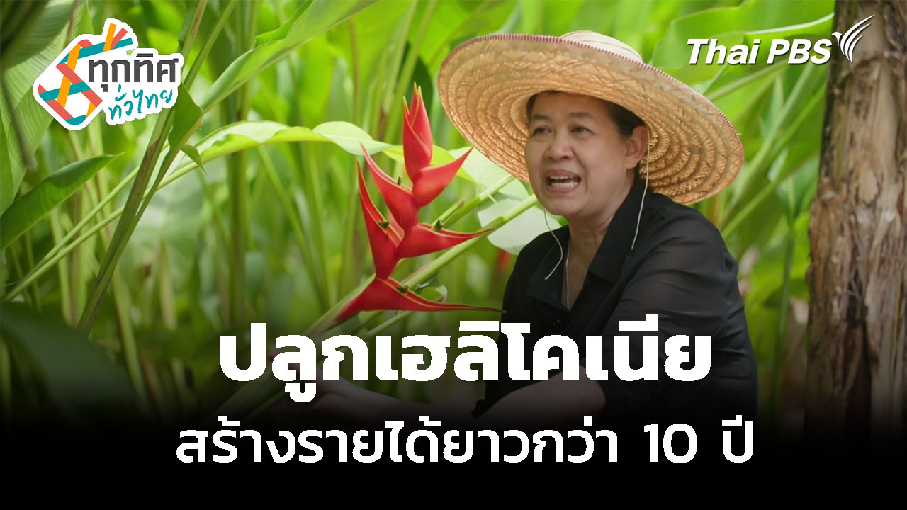 ปลูกเฮลิโคเนีย "ต้นธรรมรักษา" สร้างรายได้ยาวกว่า 10 ปี