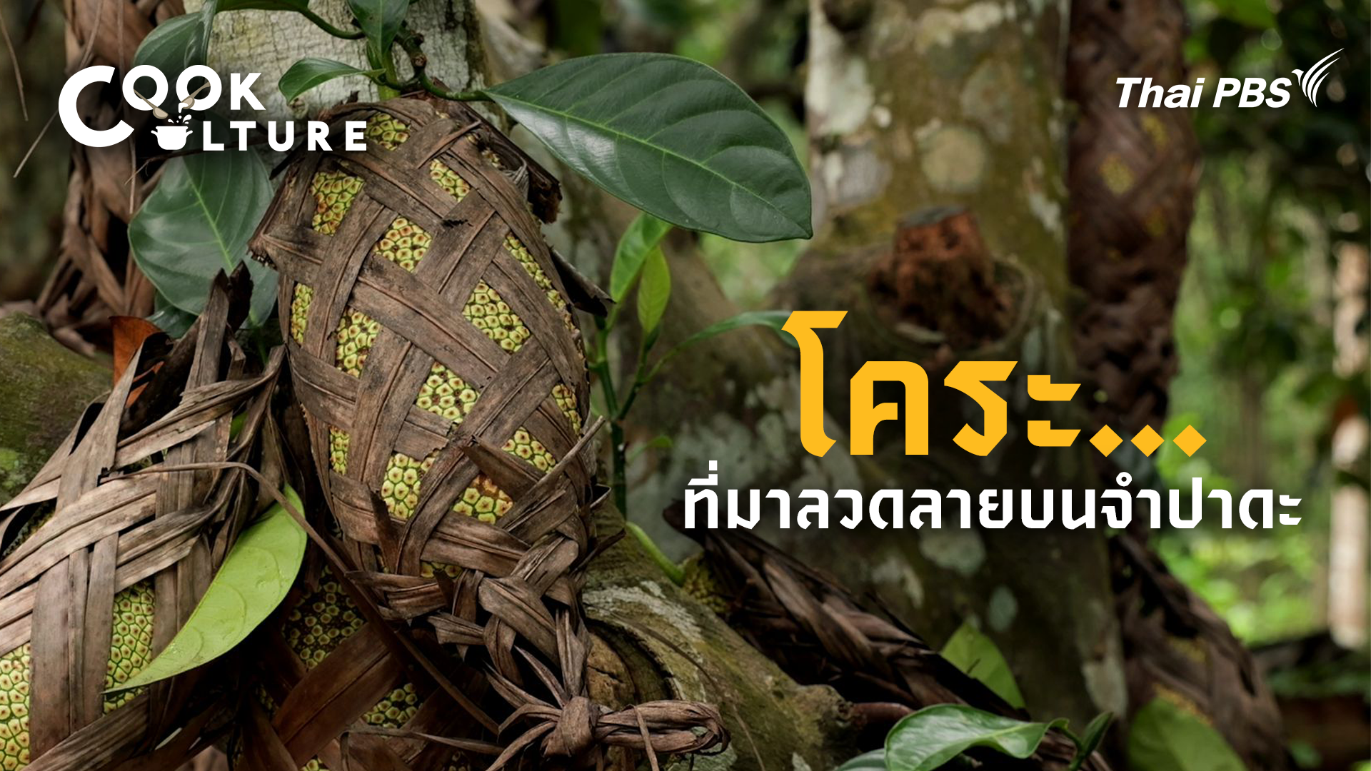 โคระ จำปาดะ