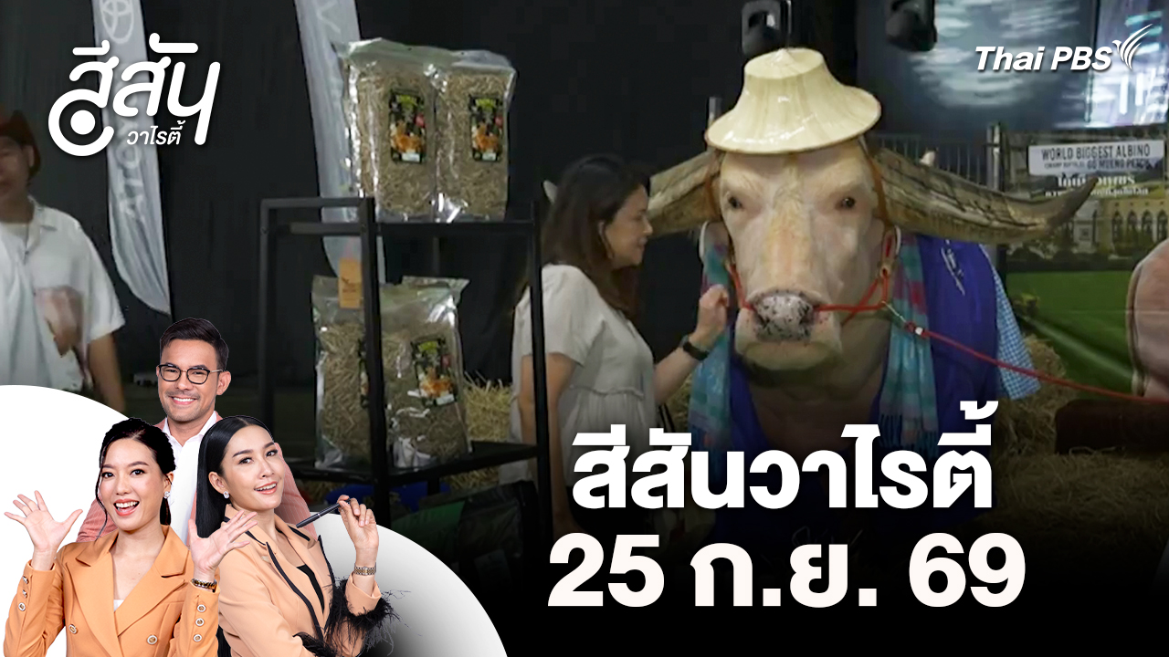 สีสันวาไรตี้ (25 ก.ย. 69)
