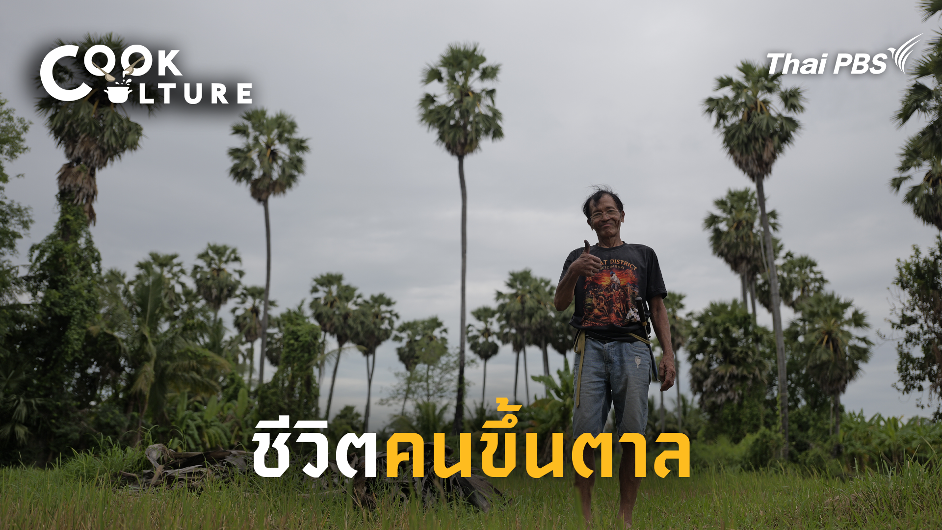 ชีวิตคนขึ้นตาล