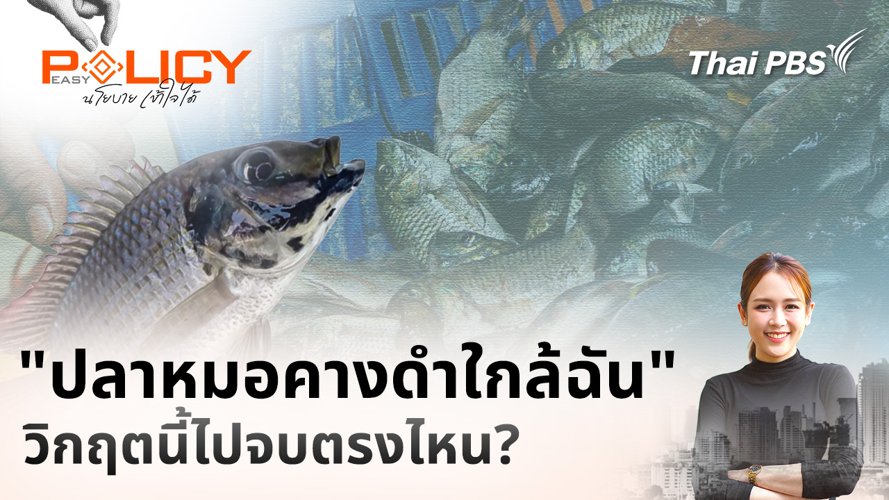 "ปลาหมอคางดำใกล้ฉัน" วิกฤตนี้ไปจบตรงไหน?