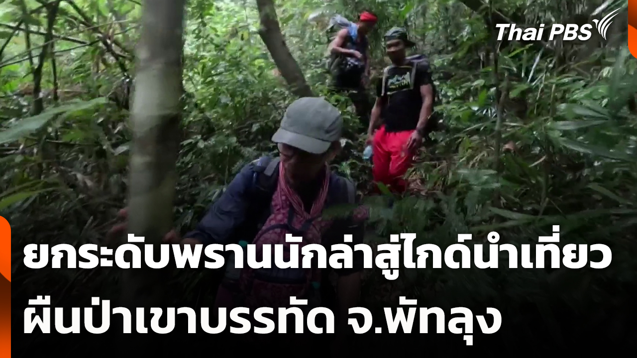 ยกระดับพรานนักล่าสู่ไกด์นำเที่ยวผืนป่าเขาบรรทัด จ.พัทลุง