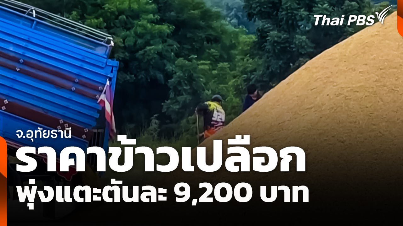 ข้าวเปลือกพุ่งแตะตันละ 9,200 บาท จ.อุทัยธานี