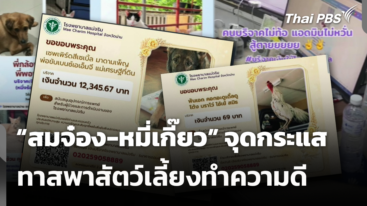 “สมจ๋อง-หมี่เกี๊ยว” จุดกระแสทาสพาสัตว์เลี้ยงทำความดี