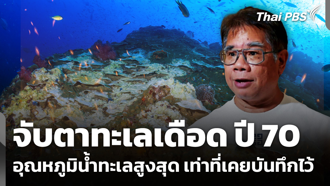 จับตาทะเลเดือด ปี 70 อุณหภูมิน้ำทะเลสูงสุด เท่าที่เคยบันทึกไว้
