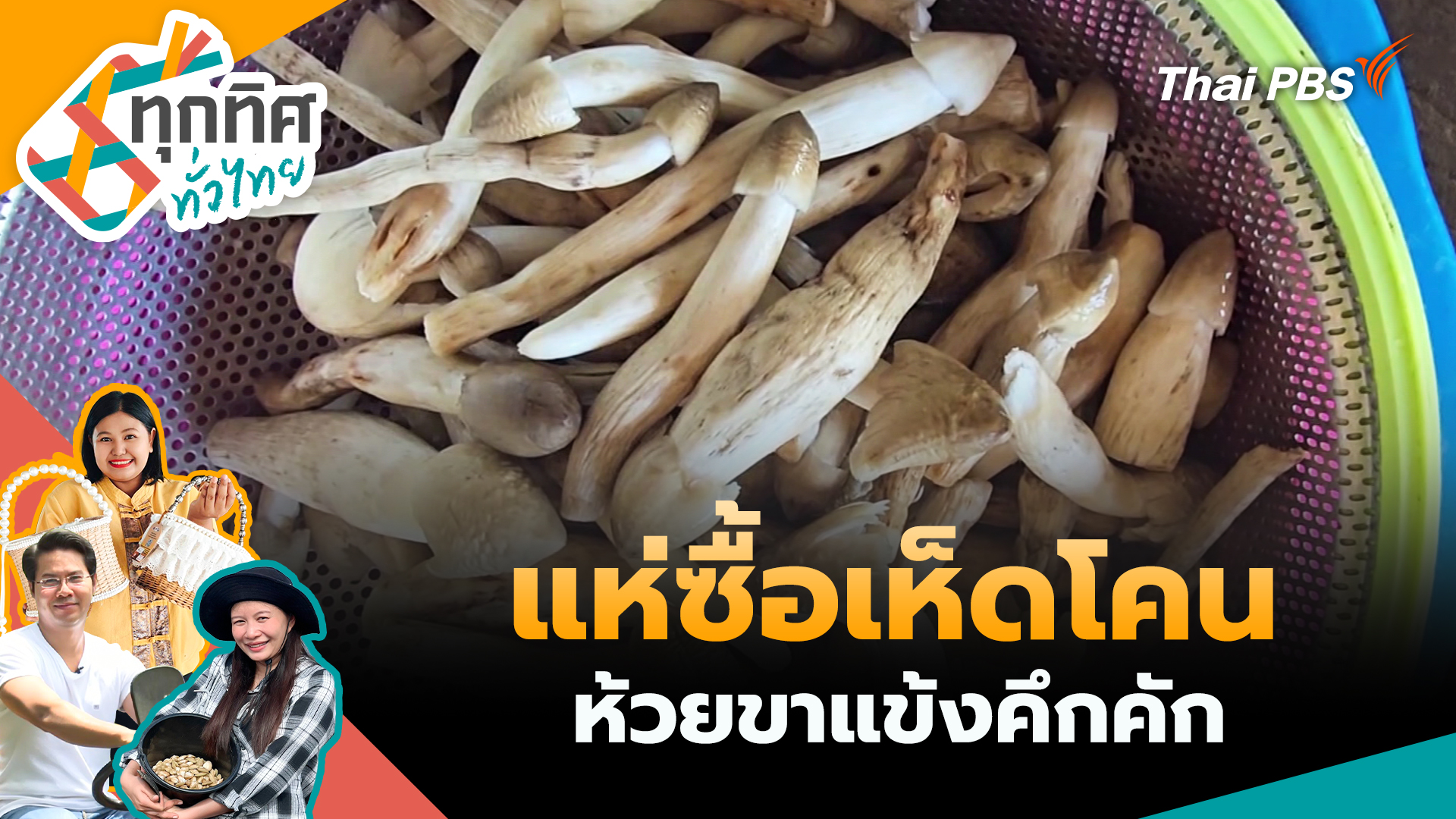 แห่ซื้อเห็ดโคนห้วยขาแข้งคึกคัก
