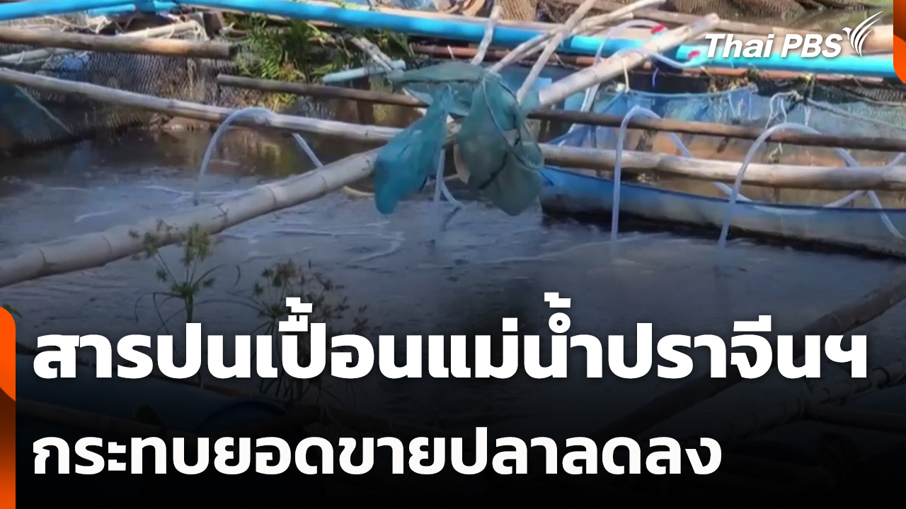 สารปนเปื้อนแม่น้ำปราจีนฯ กระทบยอดขายปลาลดลง